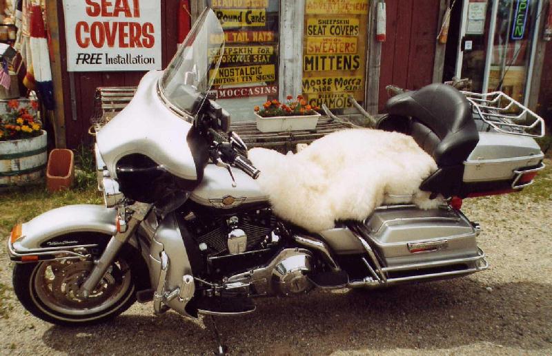 Sheepskin Motorcycle Seat Covers Canada Reviewmotors.co