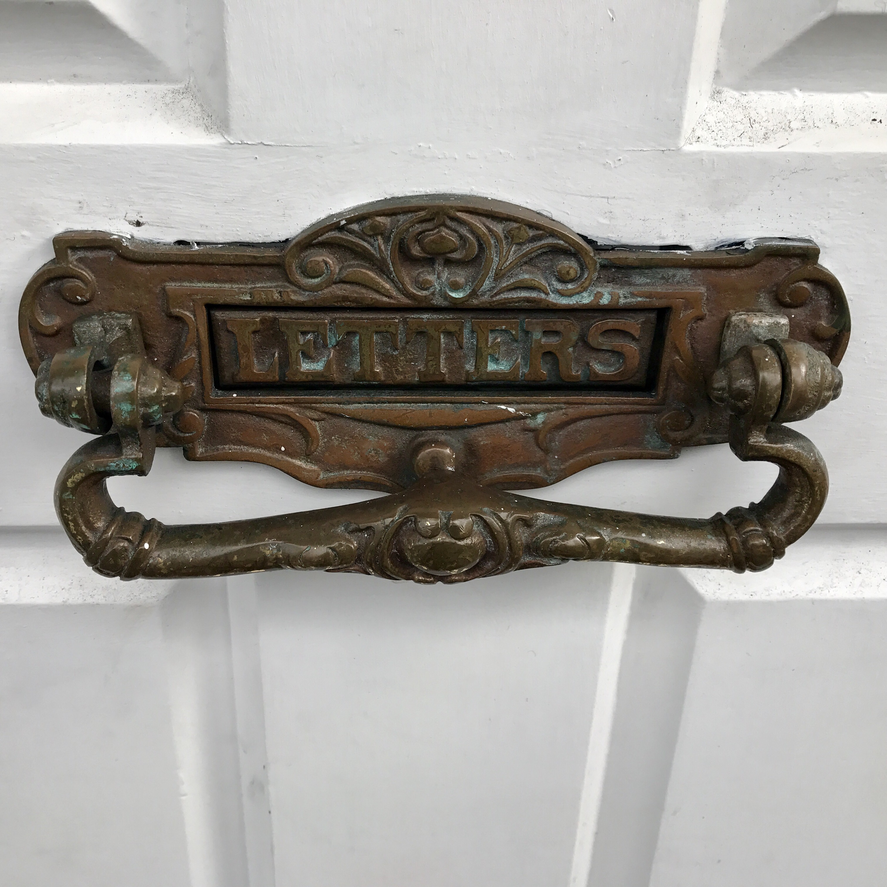 Auckland knockers Brattleboro Adventure the Auckland Edition