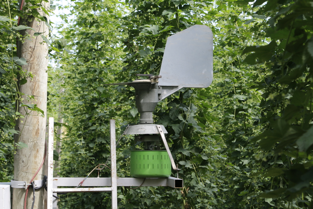 Galerie Exkursion zum BioHopfen 2020
