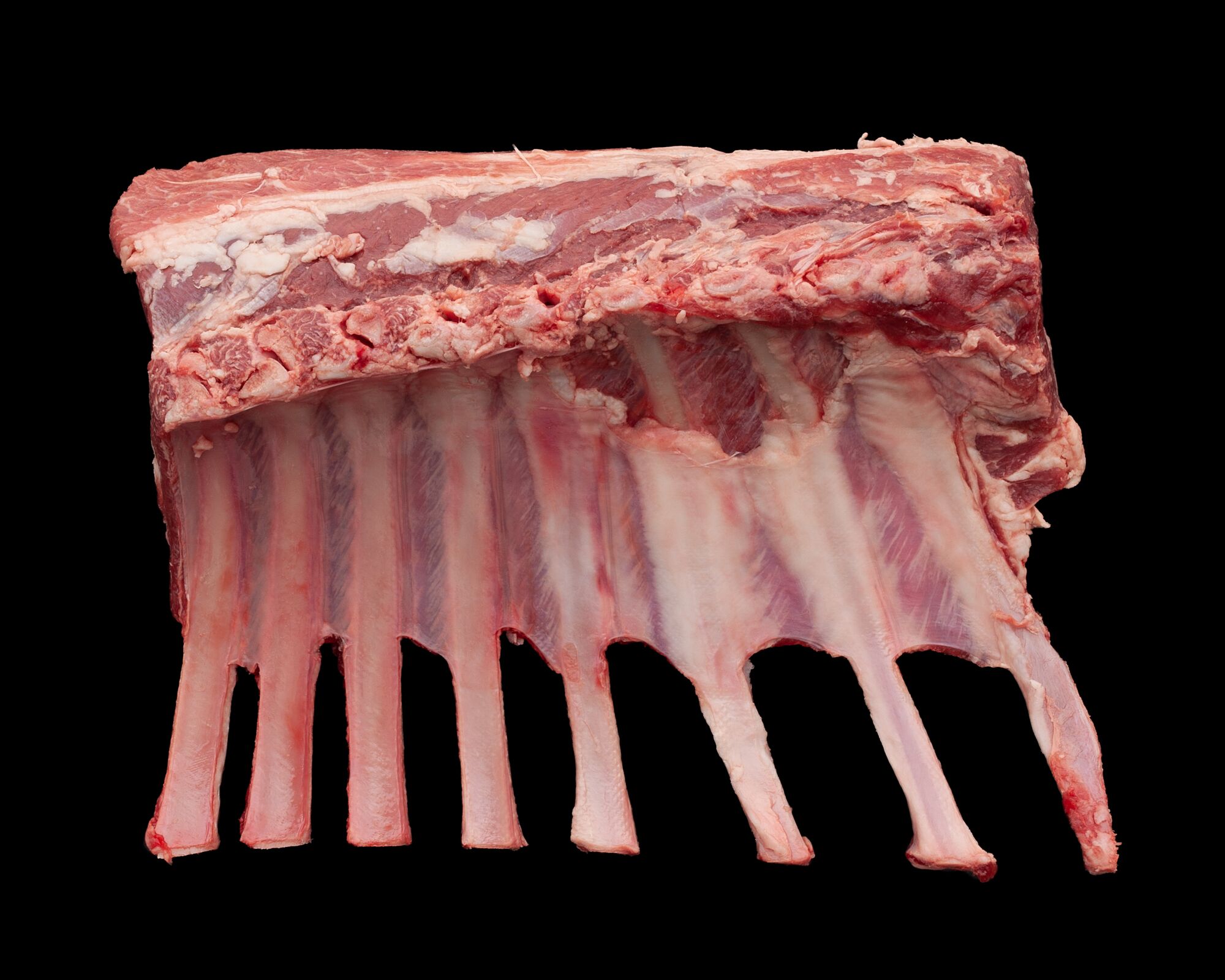 Rack of Lamb Serving Size 24 — Brava Brava Home