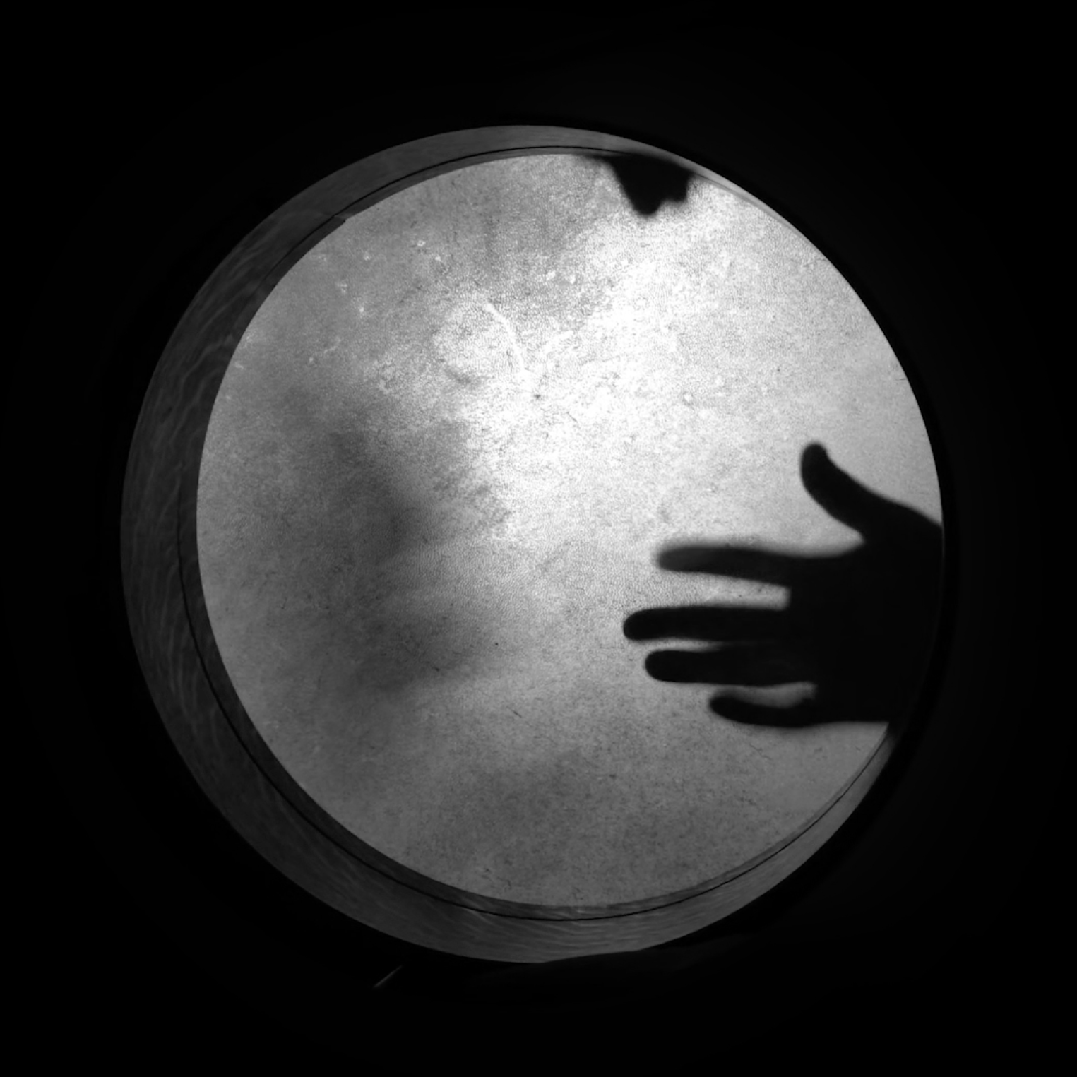 Reflection Braverman