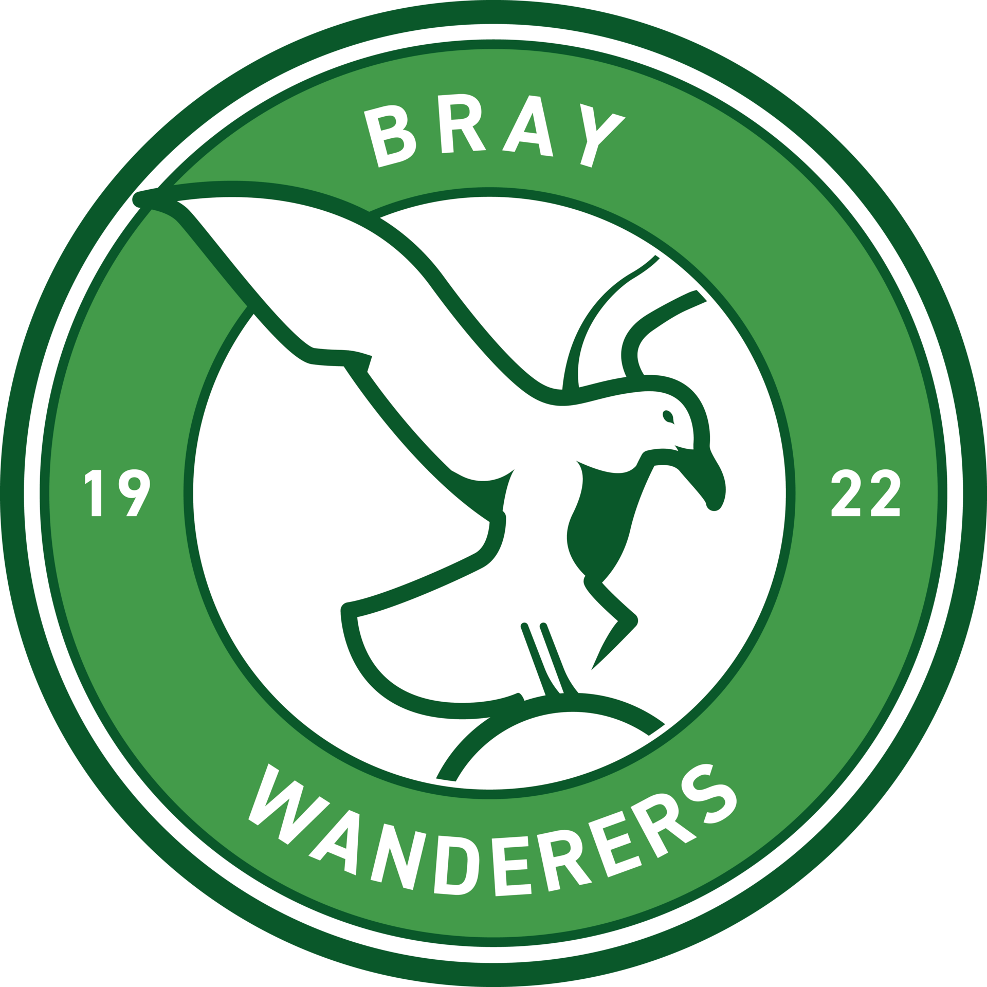 Fixtures Bray Wanderers FC The Home of the Seagulls