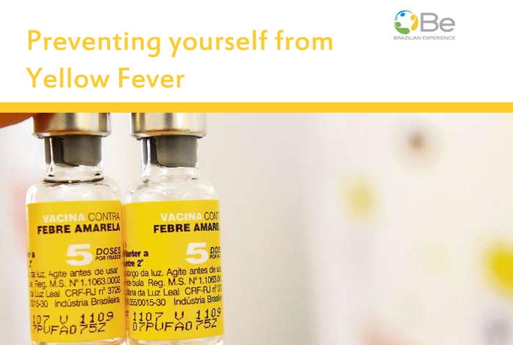 Preventing yourself from Yellow Fever Brazilian Experience
