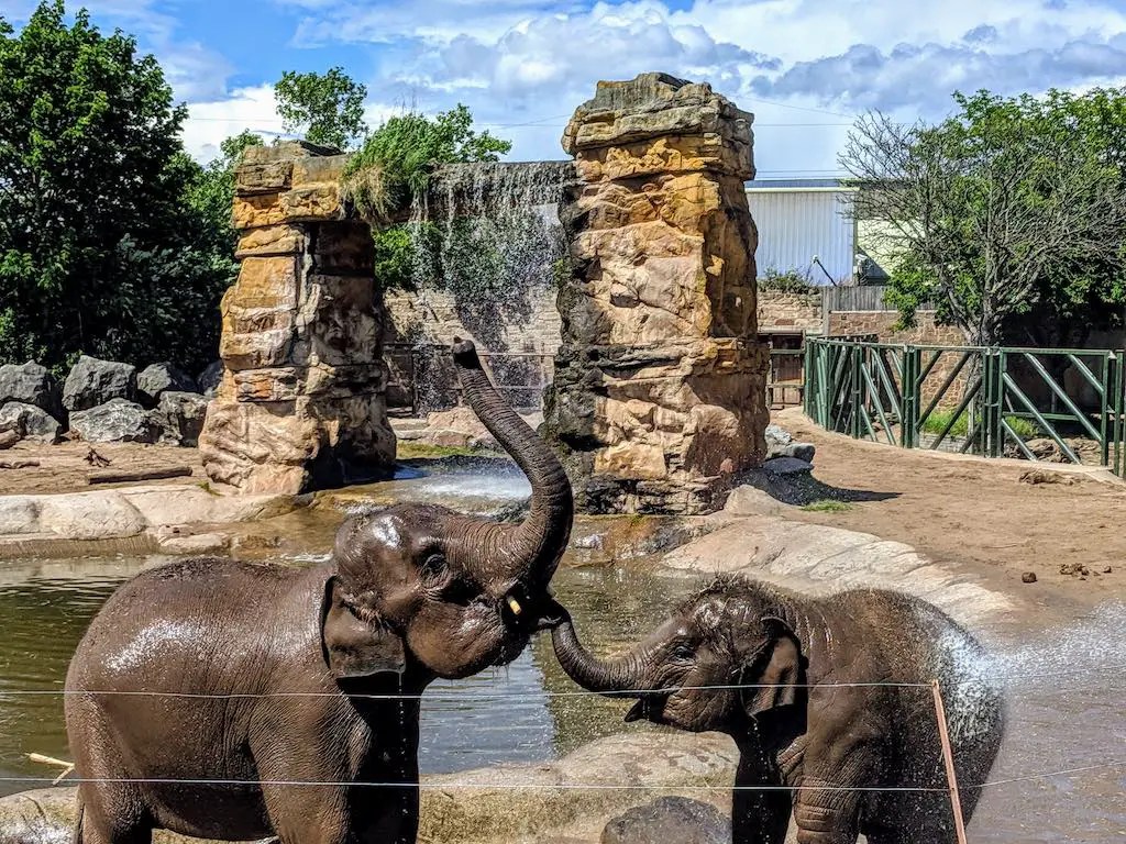 21 Best Zoos in the UK for The Perfect Day Out