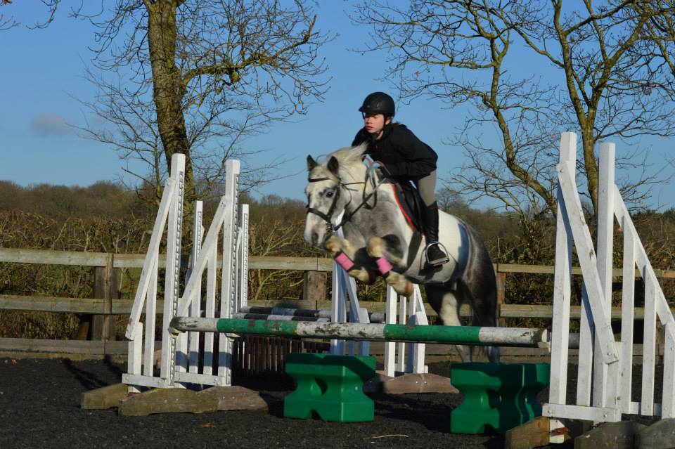 Berkshire Riding Centre BHS Approved Riding School and Livery Yard