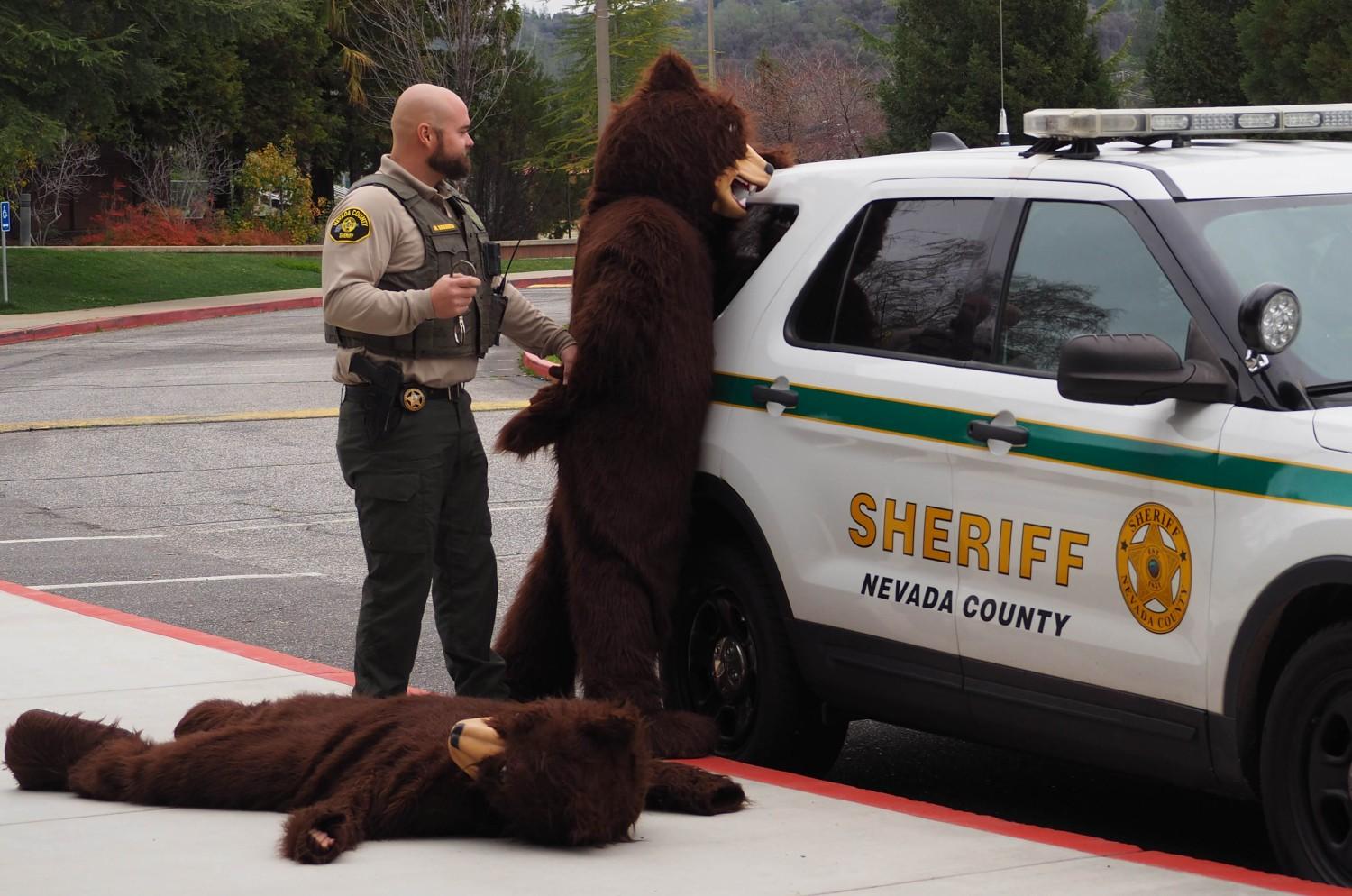 Boog Implicated in Mysterious Death of Baloo The Bear River Current