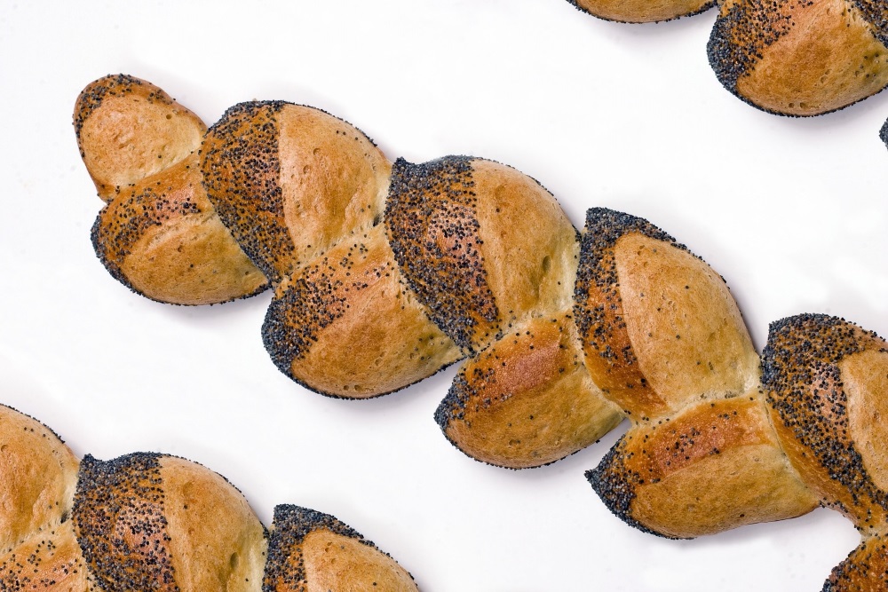 エピ パンの図鑑