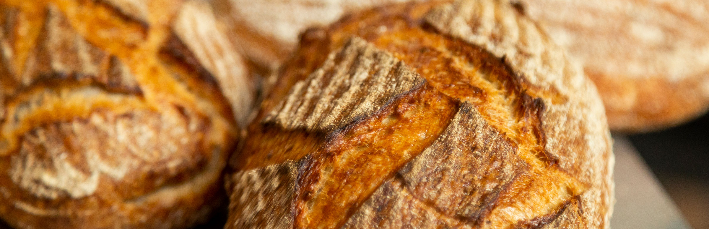 Blog Bread 41 Organic Sourdough Bakery Dublin