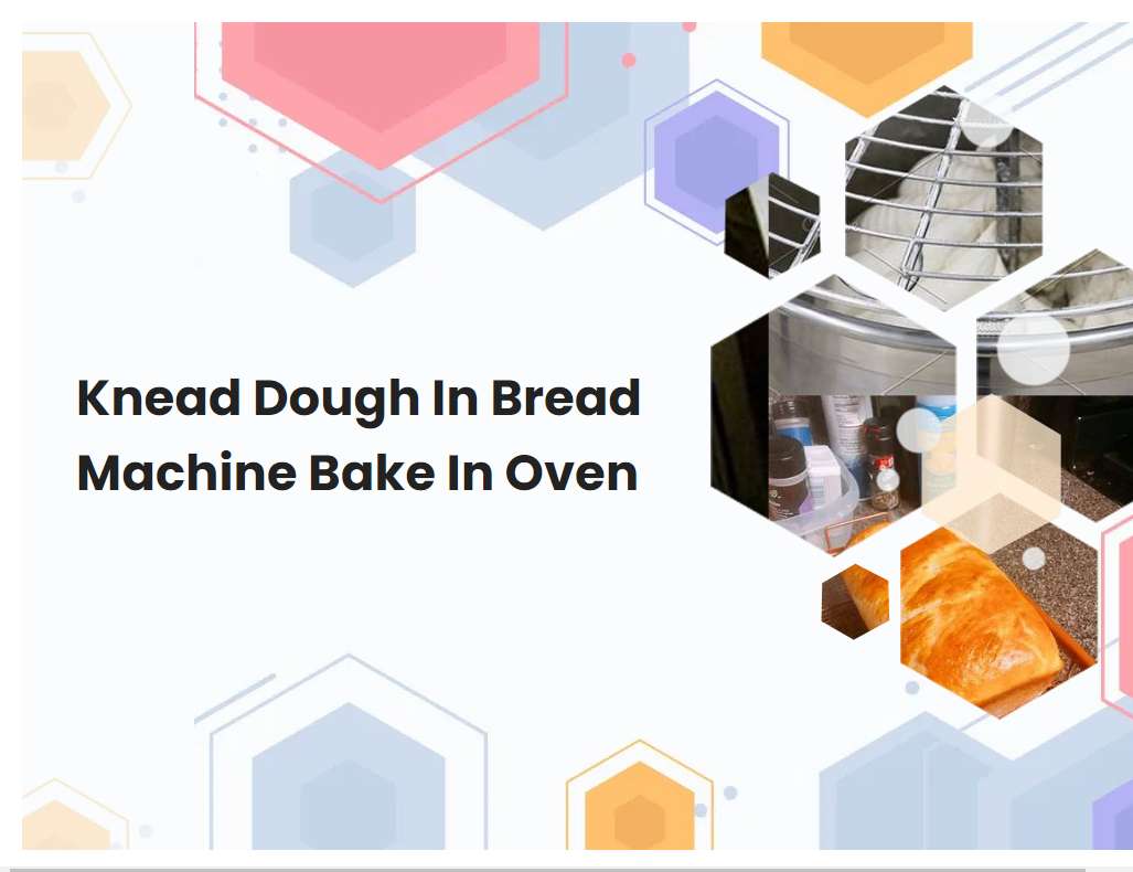 Knead Dough In Bread Machine Bake In Oven