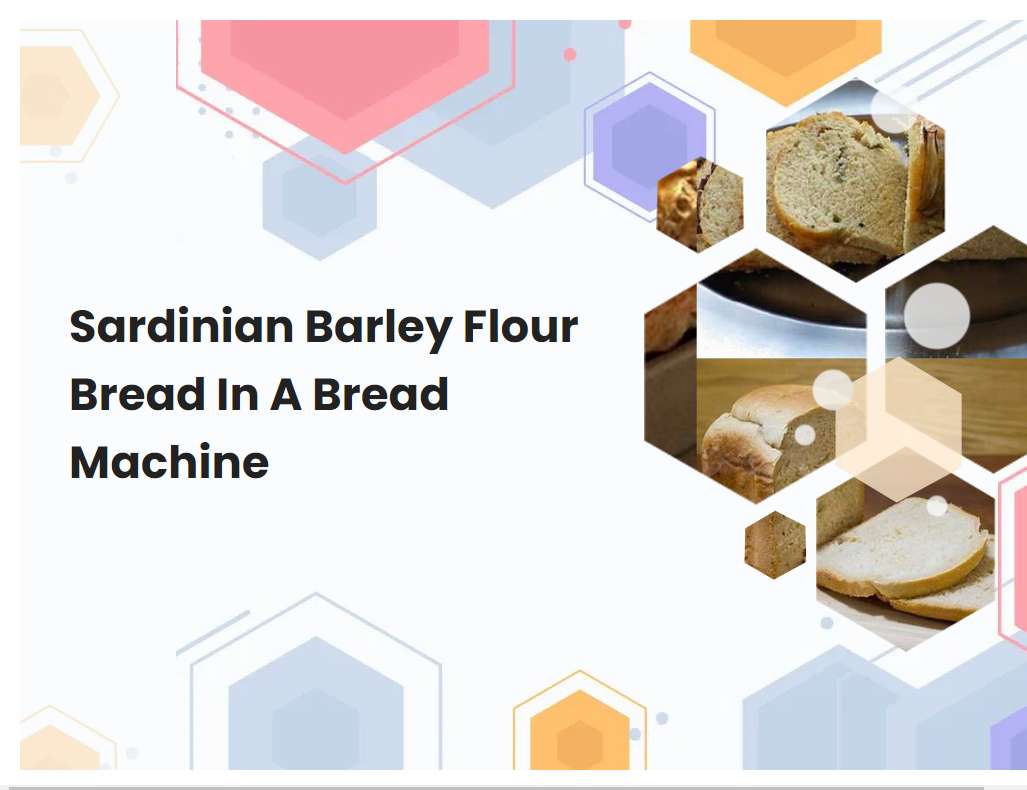 Sardinian Barley Flour Bread In A Bread Machine