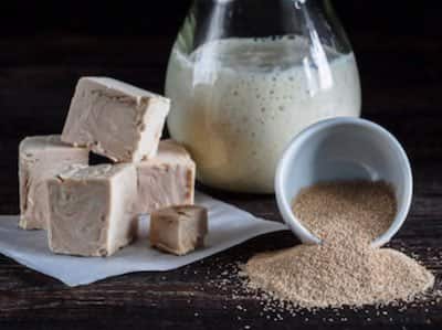 🥖 Does Alcohol Kill Yeast In Bread? • Breadopedia.com