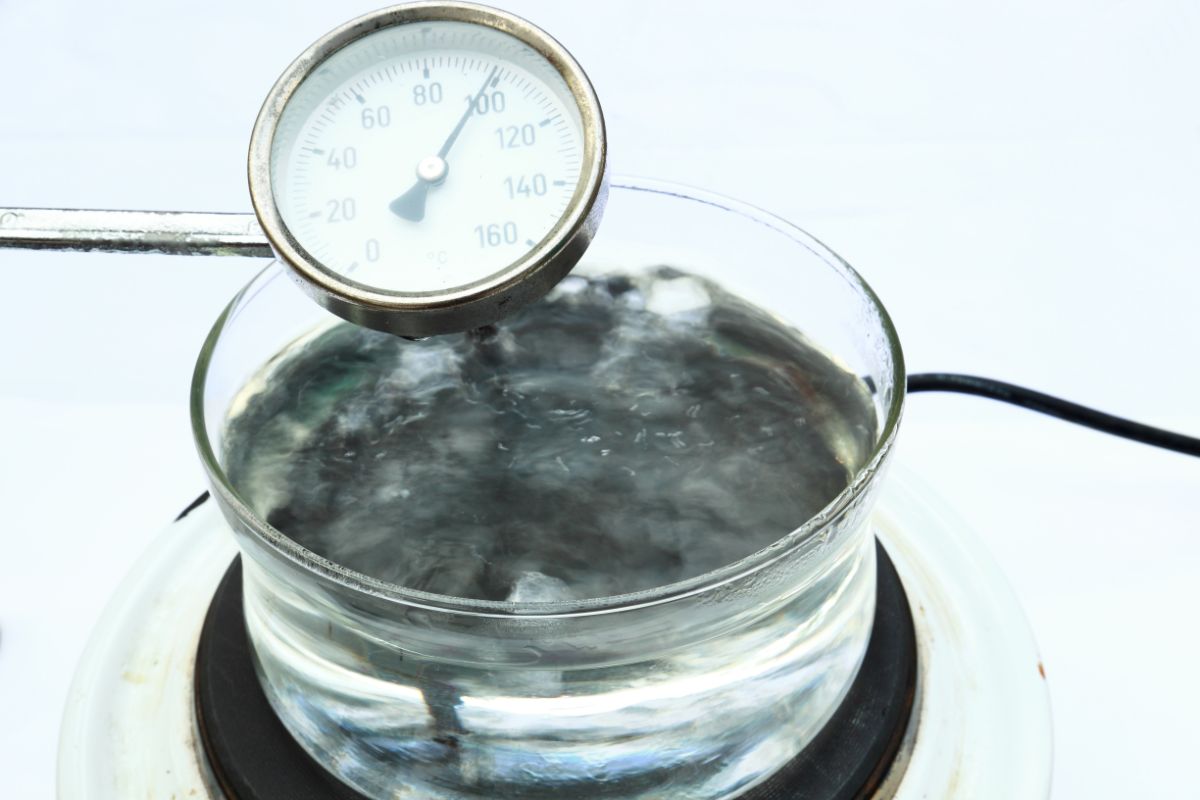 🥖 At What Temperature Does Yeast Die?