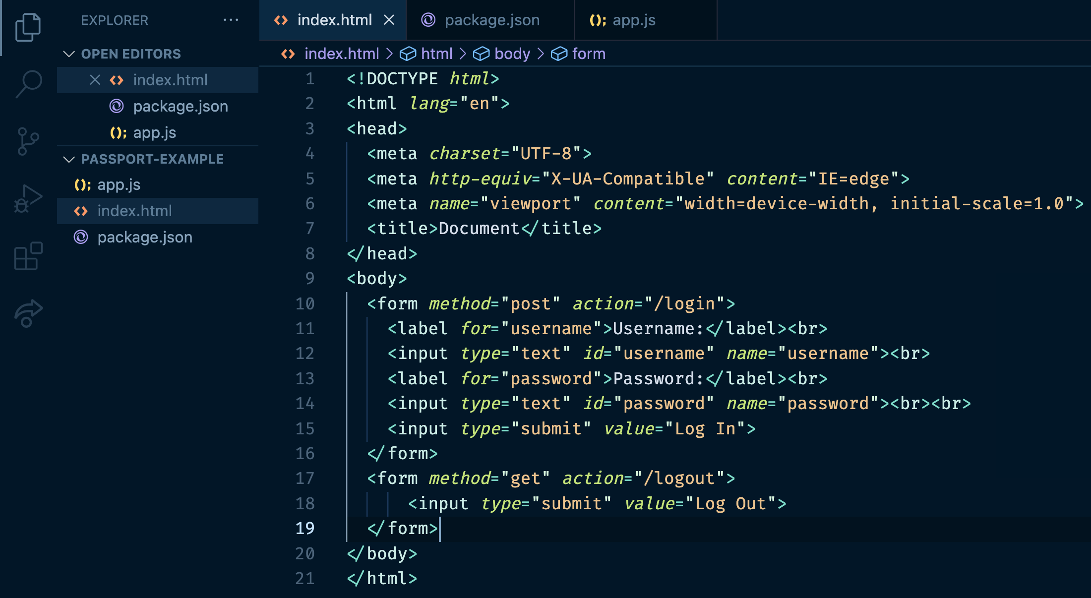 Preliminary Setup Passport Local Strategy