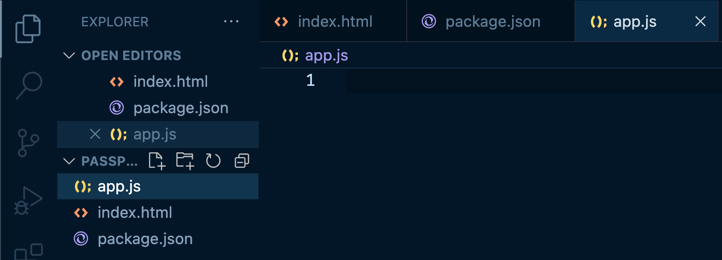 Preliminary Setup Passport Local Strategy