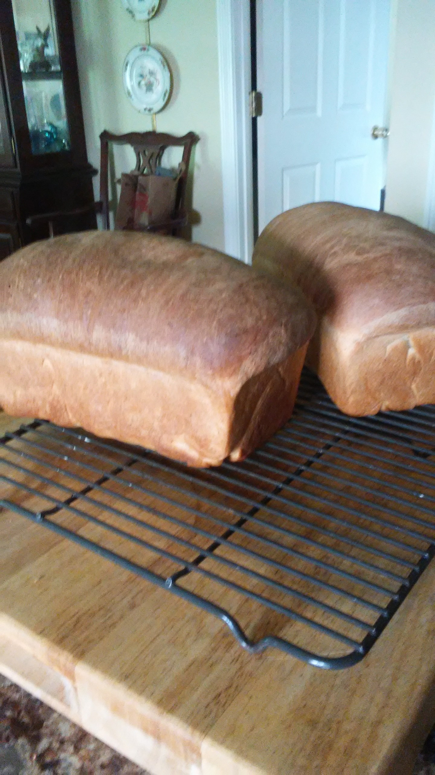 High Protein Bread Flour Breadtopia