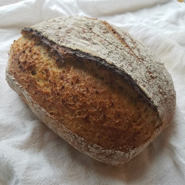 Toasted Millet Porridge Sourdough Breadtopia