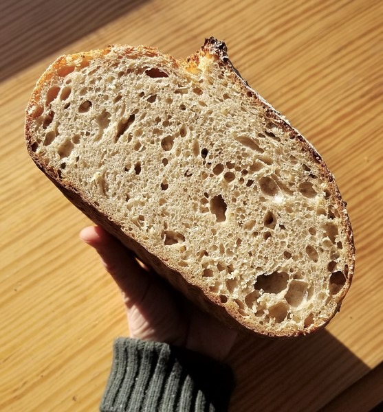 Toasted Millet Porridge Sourdough Breadtopia