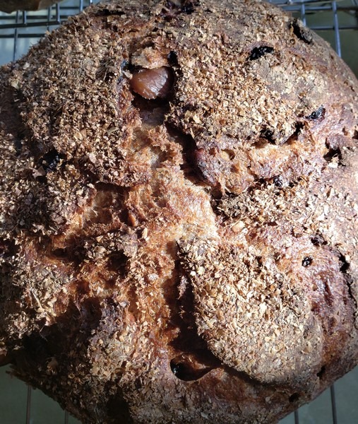 Sourdough Fruit and Nut Rolls Breadtopia