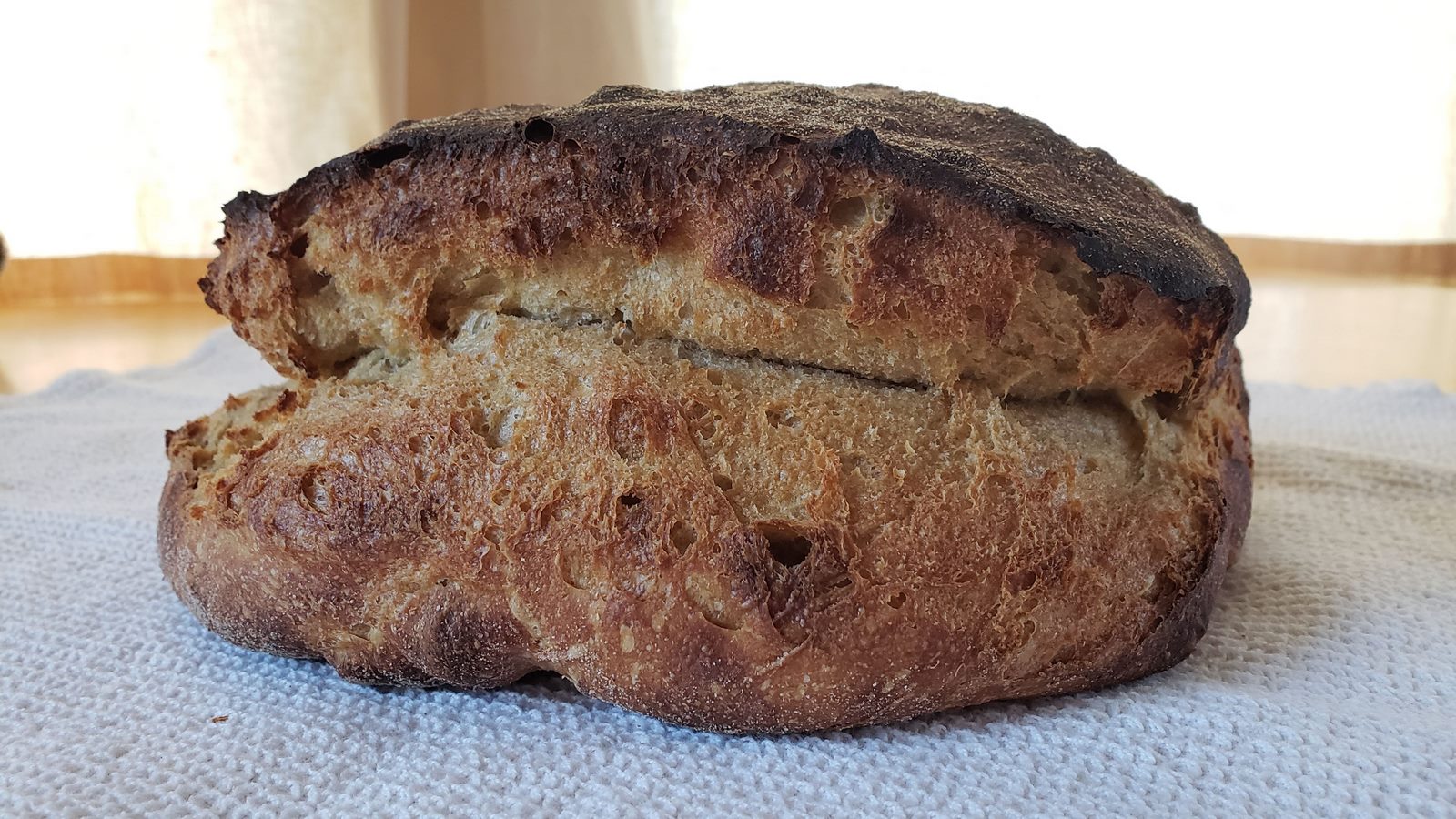 Altamura Style Sourdough Bread Breadtopia