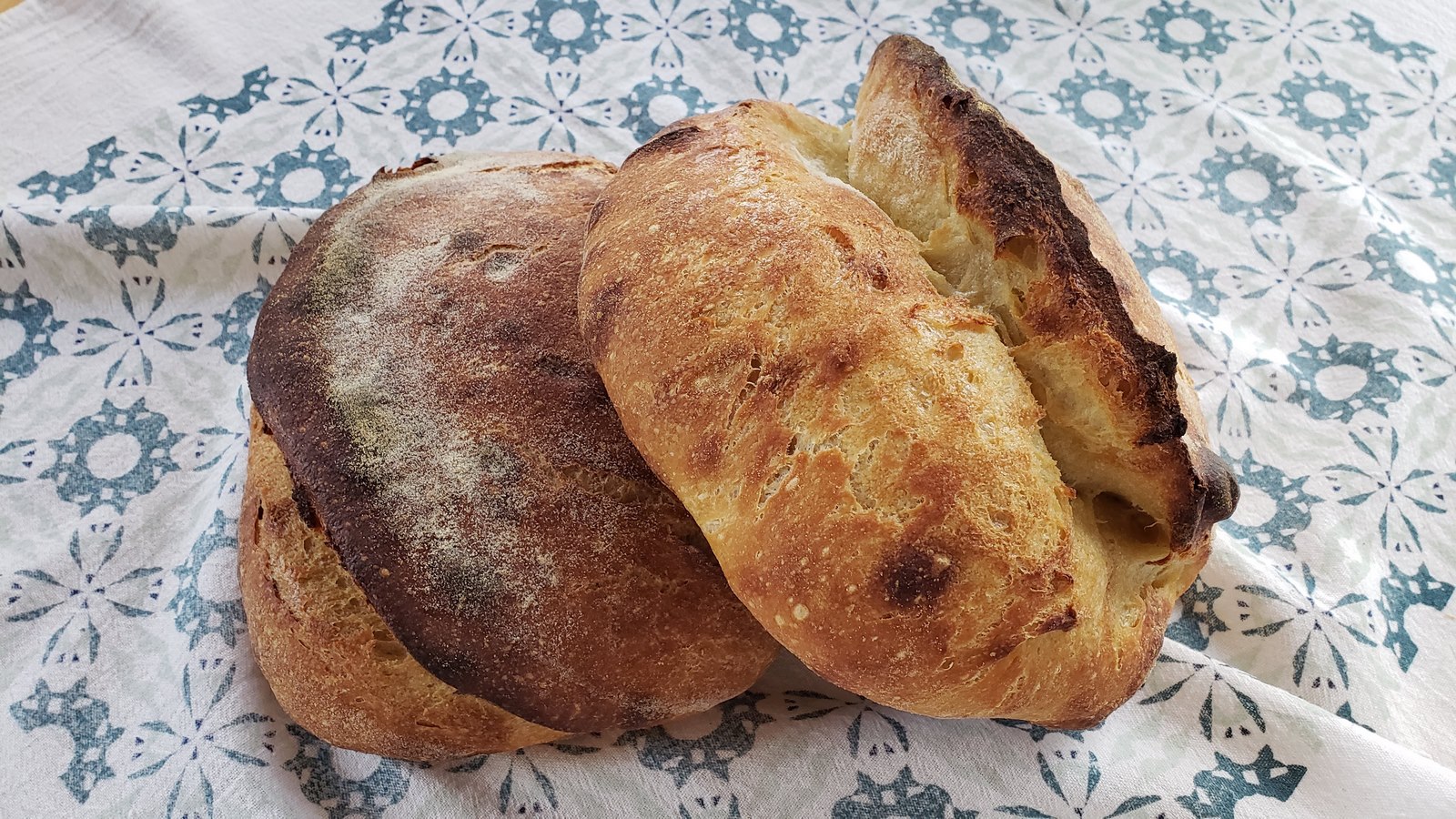 Altamura Style Sourdough Bread Breadtopia