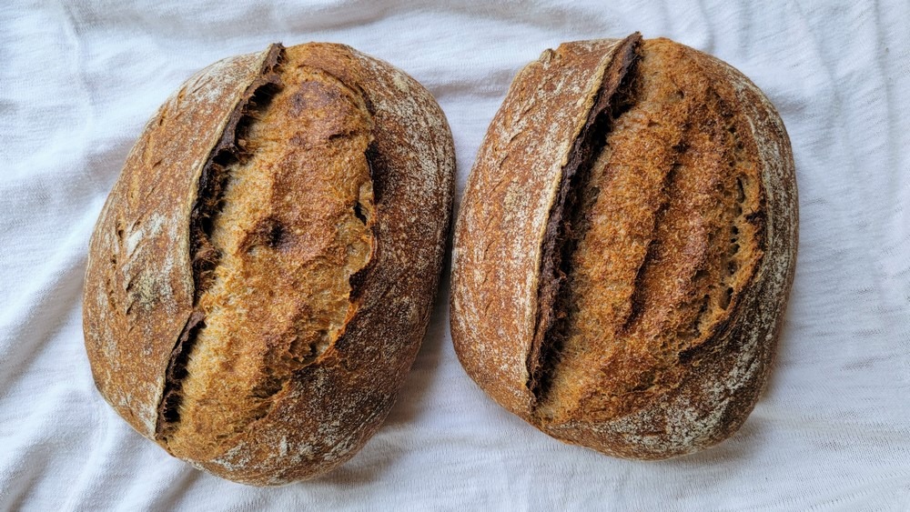 Rouge de Bordeaux Sourdough Breads Breadtopia