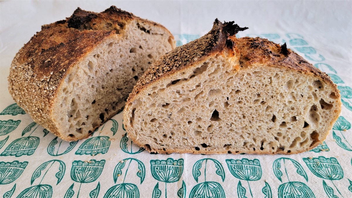 Emmer Wheat Flour Bread Recipe Deporecipe.co