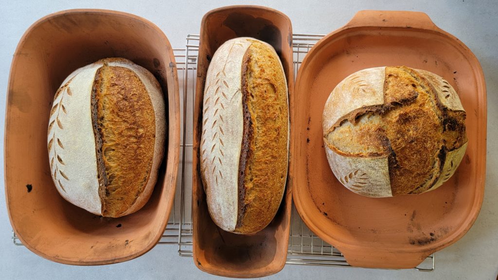 Breadtopia Clay Baker — Batard Breadtopia