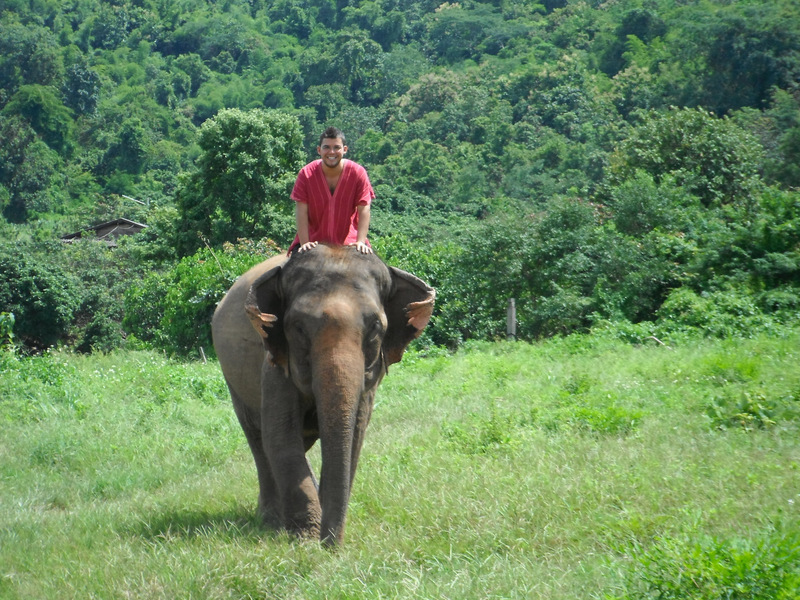 My experience and thoughts on riding elephants in Chiang Mai.