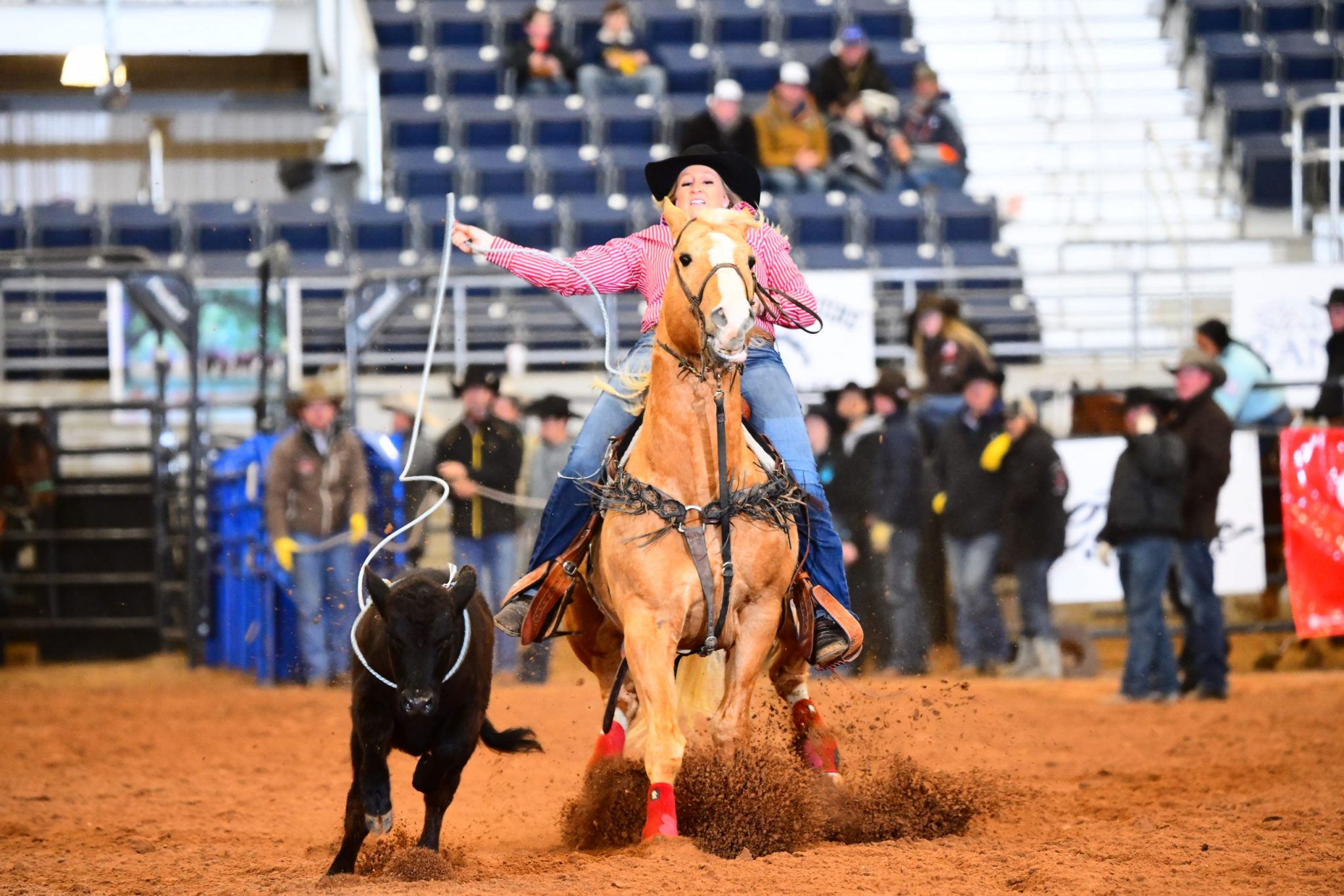 Breakaway Roping Horse Training and Mental Strategies with Abigayle