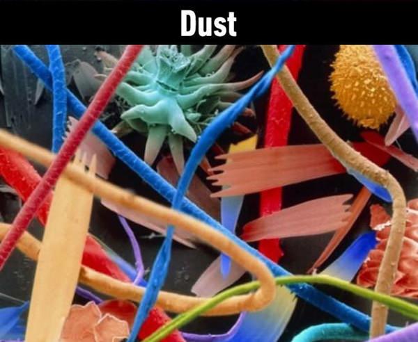 It Is Amazing How These 25 Everyday Things Look Under Microscope