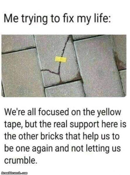 Why are there no cats on Mars BreakBrunch