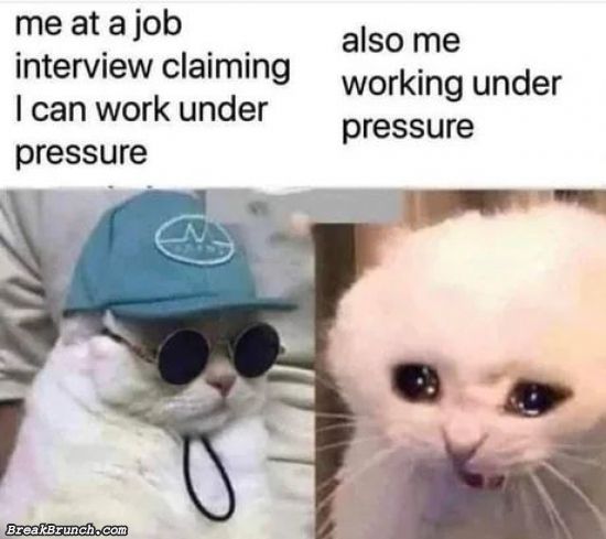 I can work under pressure BreakBrunch