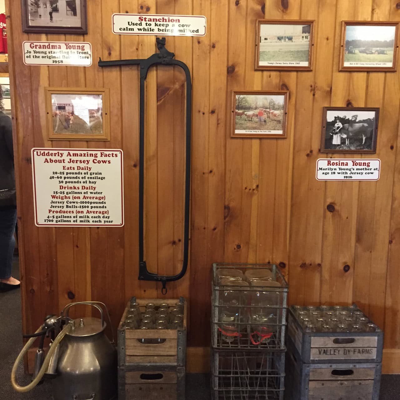 The Golden Jersey Inn Yellow Springs, OH Breakfast With Nick