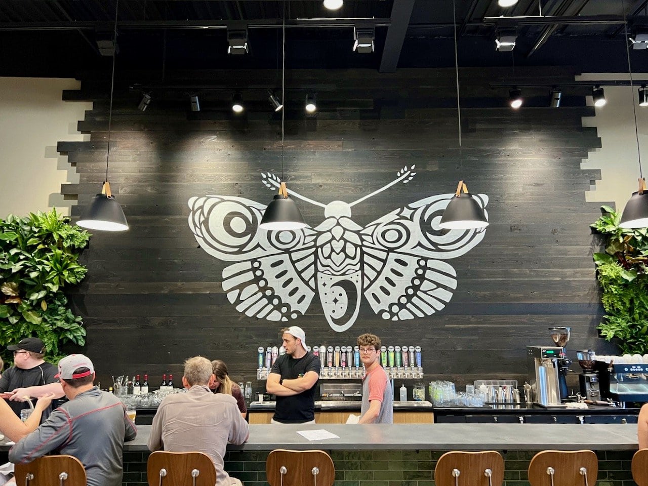Nocterra Brewing Opens New Audubon Restaurant and Taproom