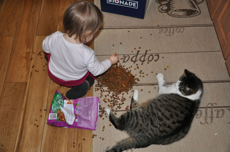 Meine Katze ist tot Breaking Mad