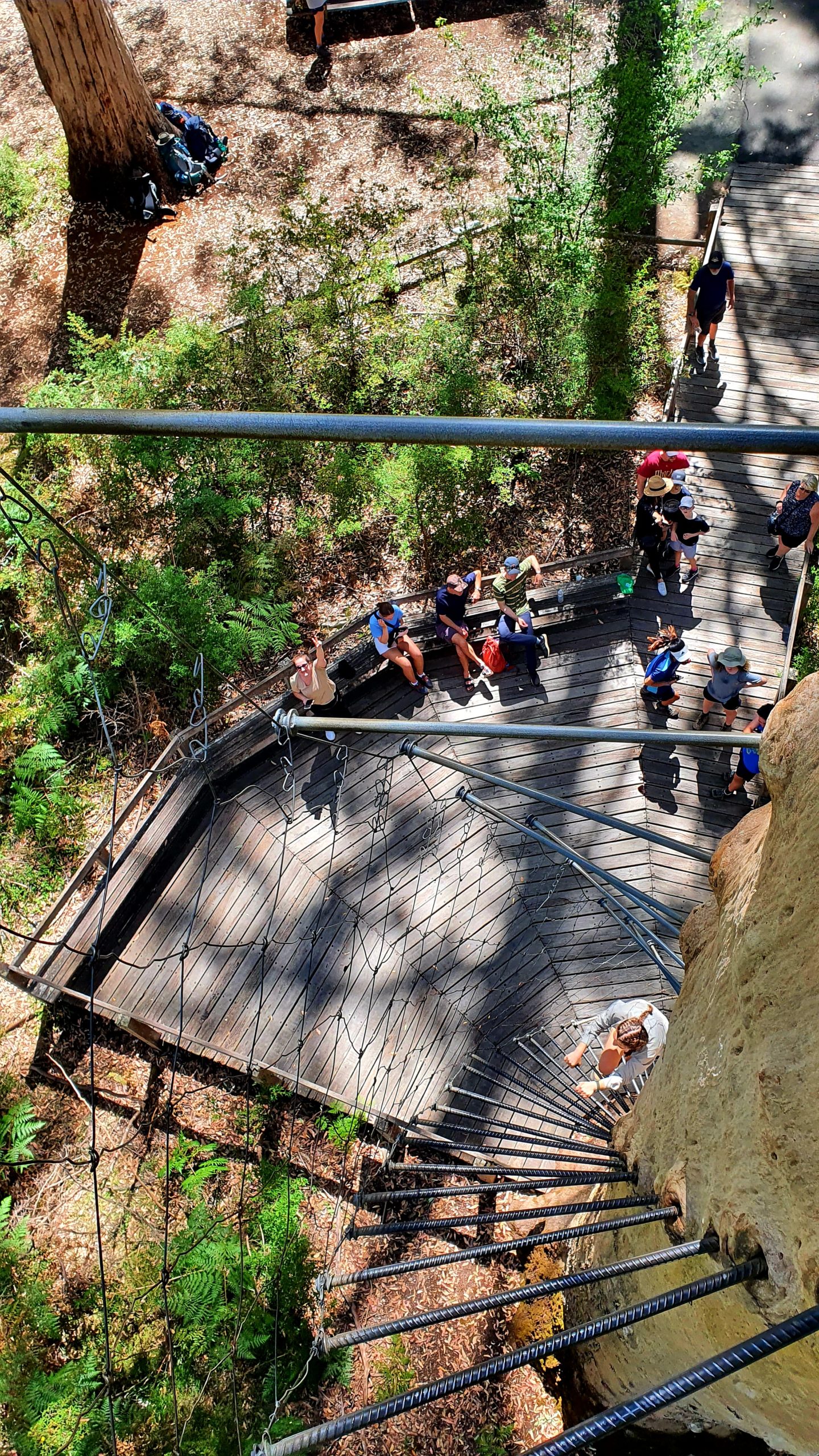 PEMBERTON'S CLIMBING TREES breaking.the.borders