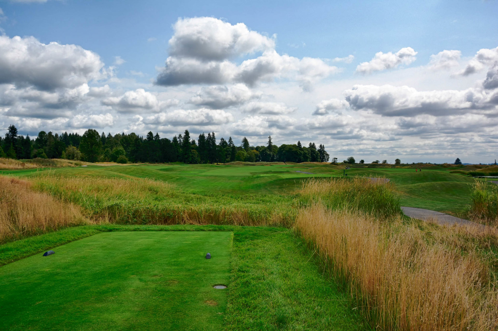 Why Ghost Creek at Pumpkin Ridge is the Best Public Course in Portland
