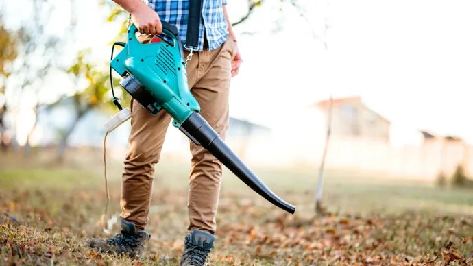 Best Vacuum for Pine Needles in 2023 [Top 5 Model Reviewed] – Breaking