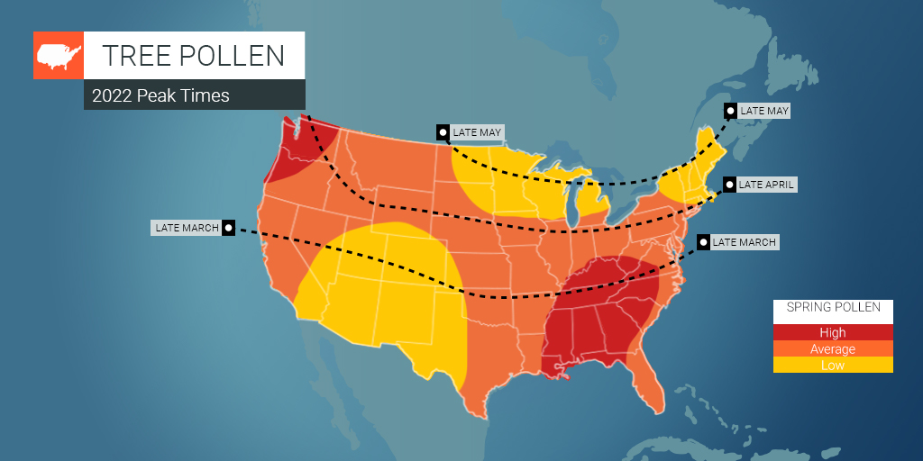 What Will the Spring Have in Store for Allergy Sufferers? Breaking
