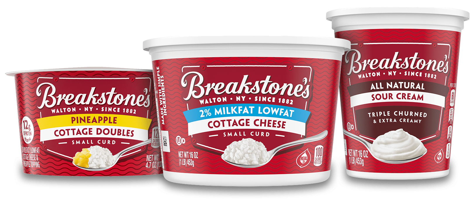 11 Cottage Cheese Brands To Discover Deliciousness Soocial