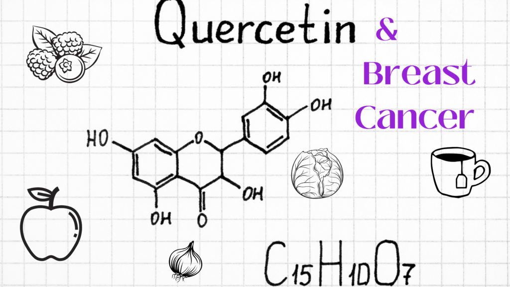 Quercetin and Breast Cancer Breast Cancer Conqueror