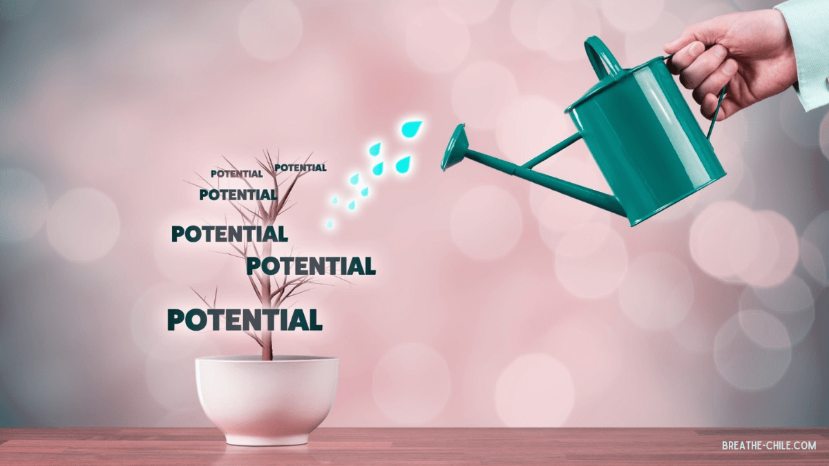 How to Reach Your Full Potential and Discover Yourself