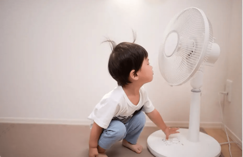How Many Watts Does a Fan Use? (7 Fan Types Examined