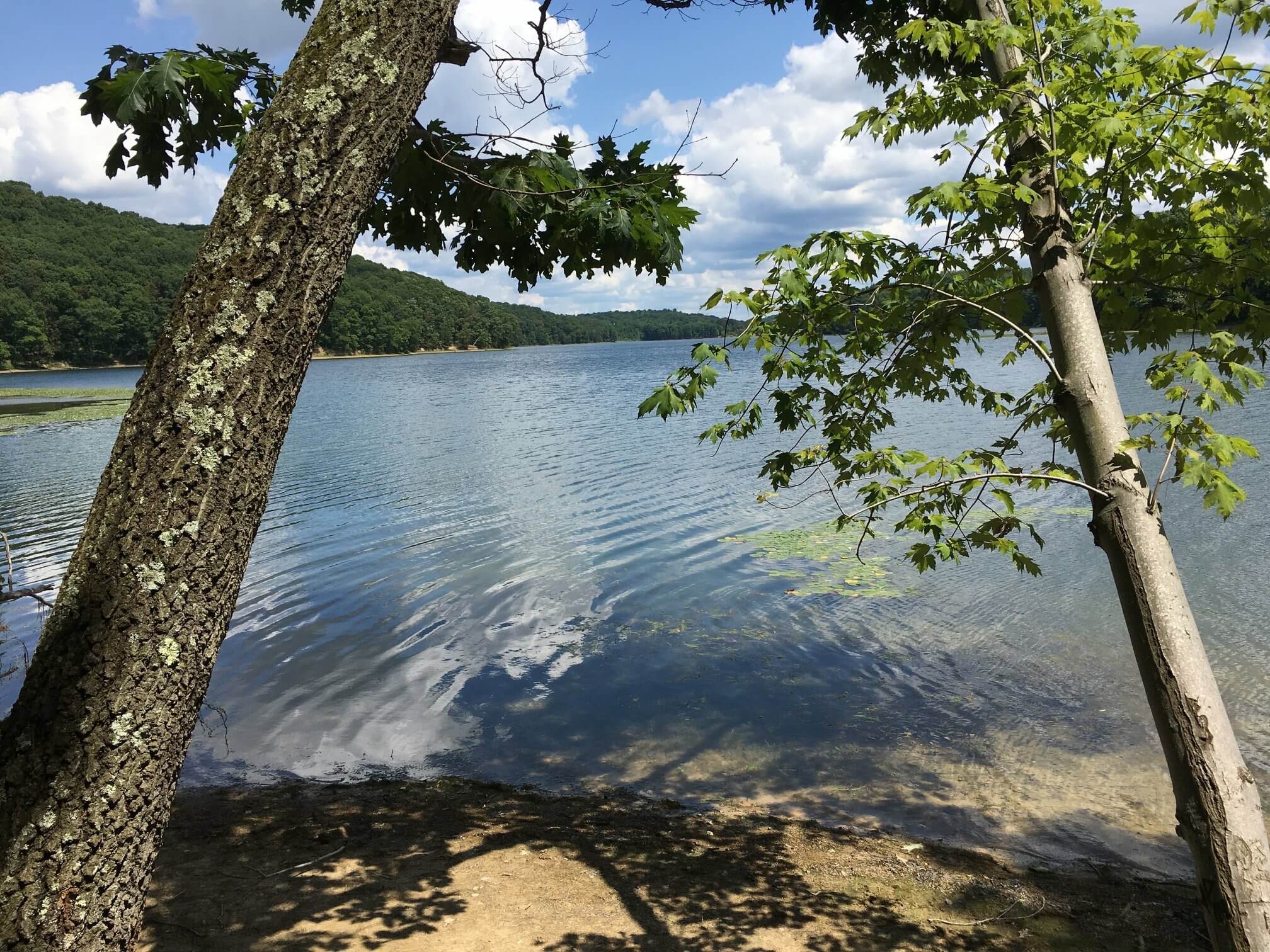 Ambridge Community Portal Breathe Project