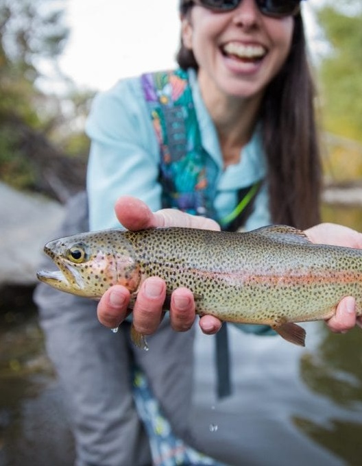 Guided Fly Fishing Trips Breckenridge, Colorado