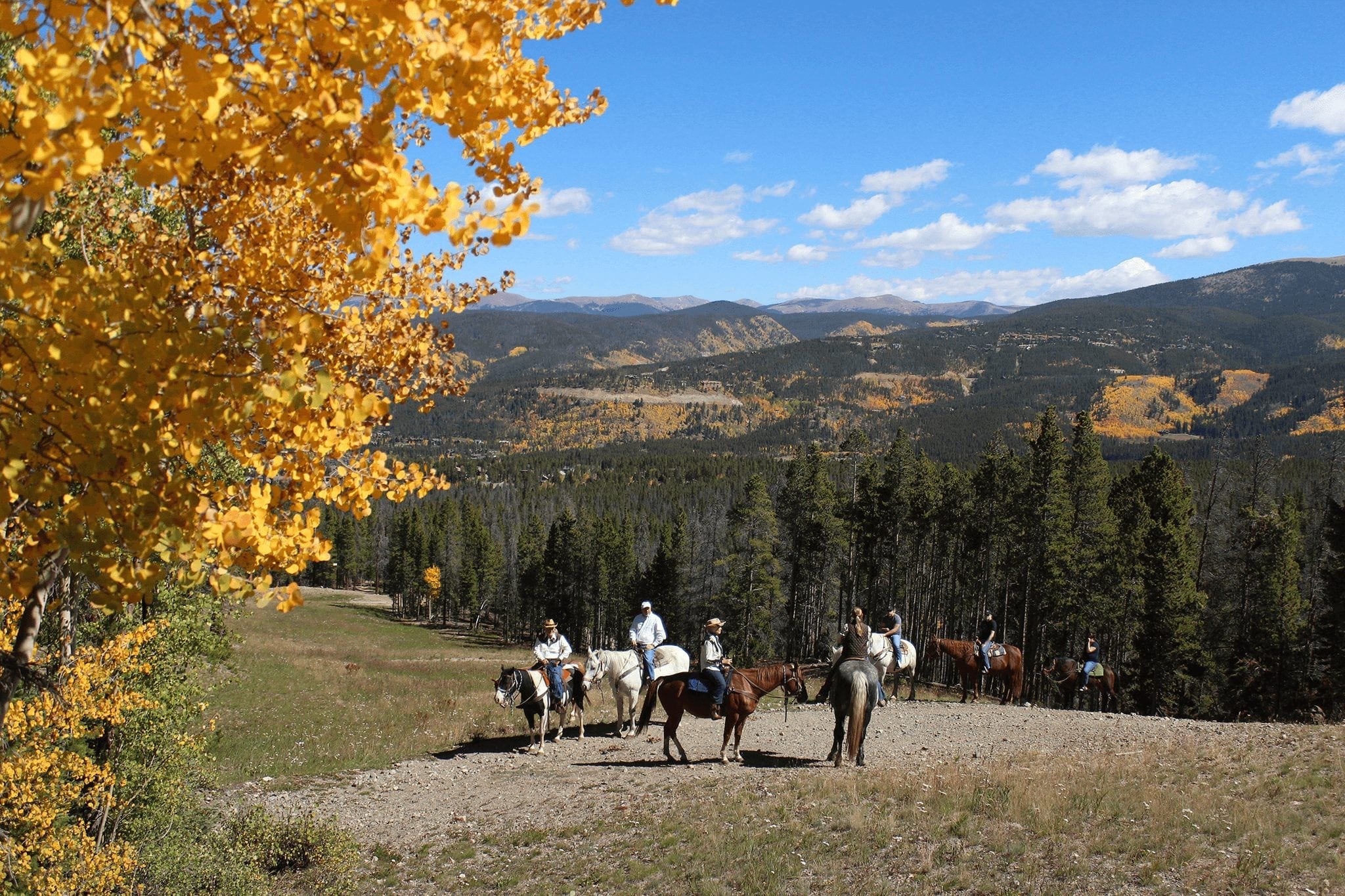 Horseback Riding in Breckenridge Breckenridge, Colorado