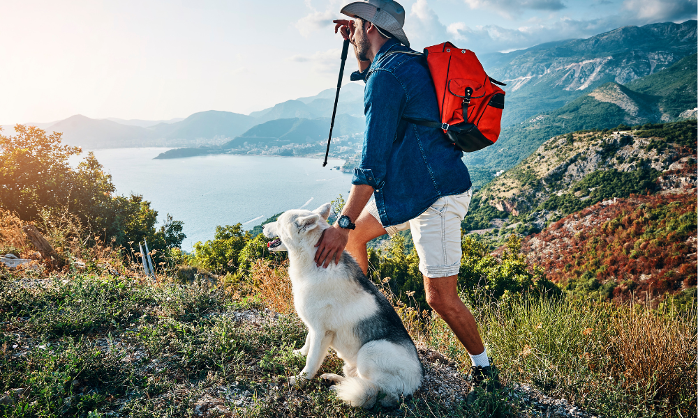 10 Best Off Leash Dog Breeds (for Outdoor Adventures)