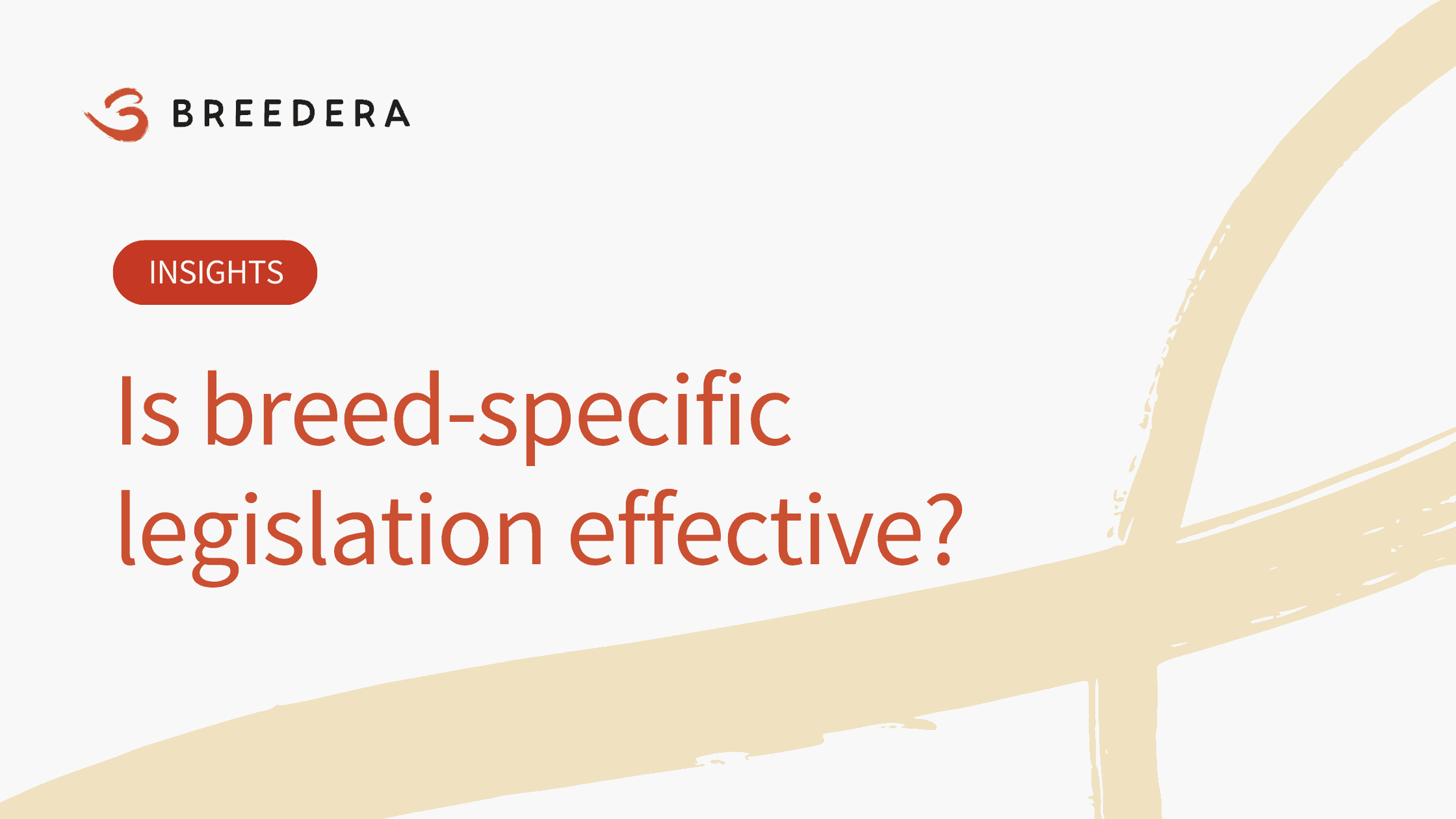 American XL Bully Ban Why banning specific breeds is not the solution