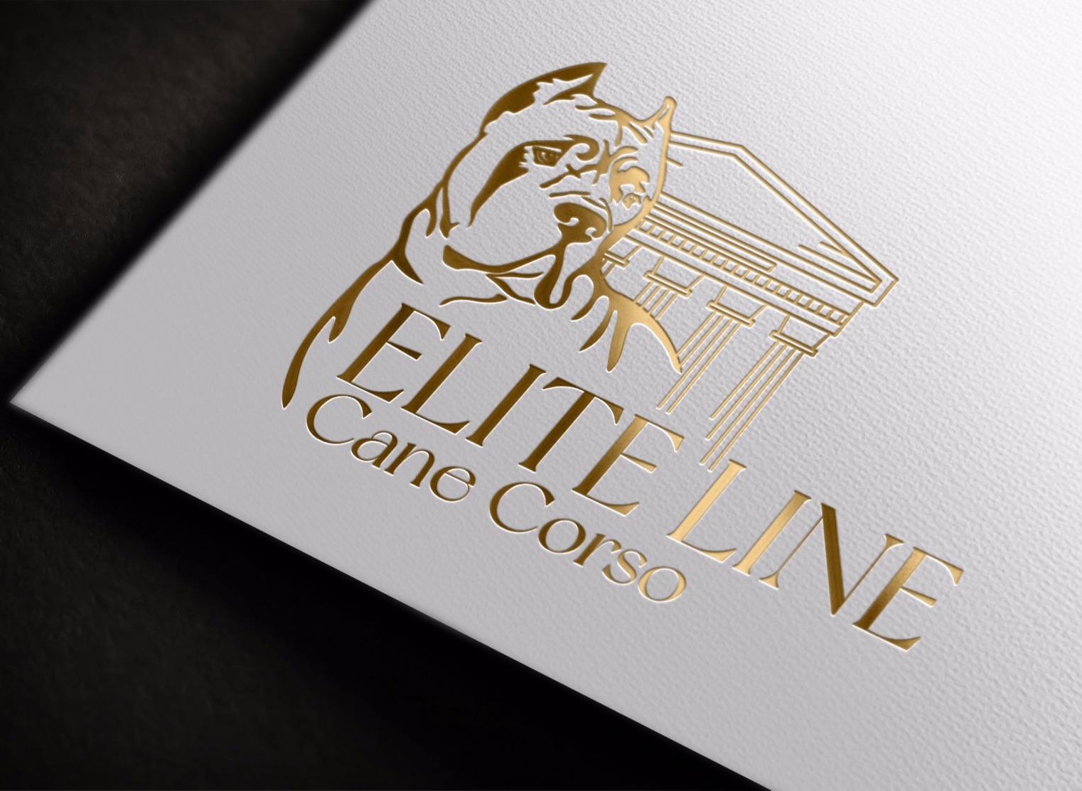 DOG KENNEL LOGO DESIGN. LOGOS FOR BREEDERS AND FARMS