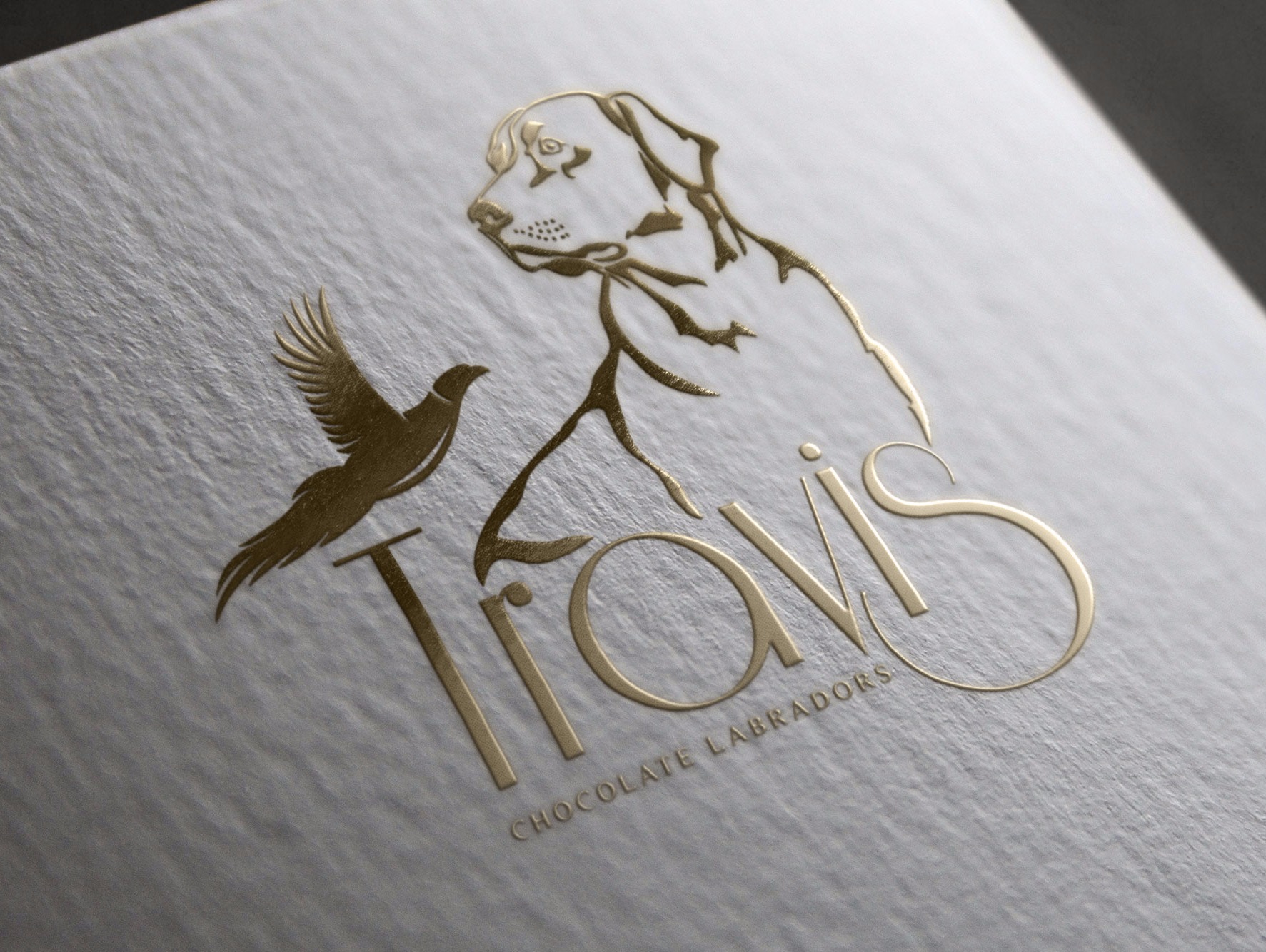 DOG KENNEL LOGO DESIGN. LOGOS FOR BREEDERS AND FARMS